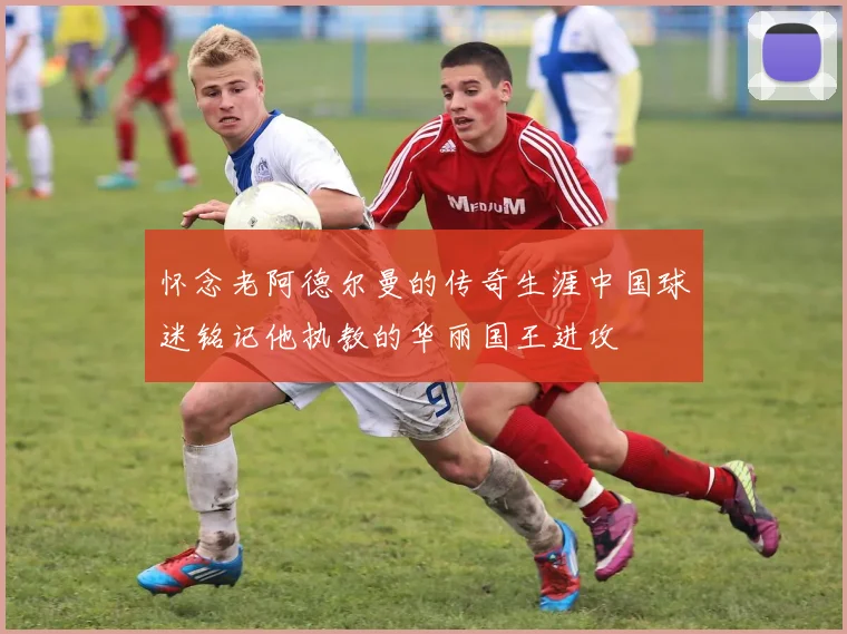 怀念老阿德尔曼的传奇生涯中国球迷铭记他执教的华丽国王进攻